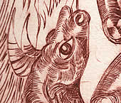 d&eacute;tail