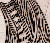 d&eacute;tail
