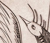 d&eacute;tail