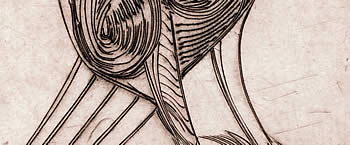d&eacute;tail