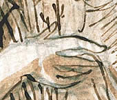 d&eacute;tail